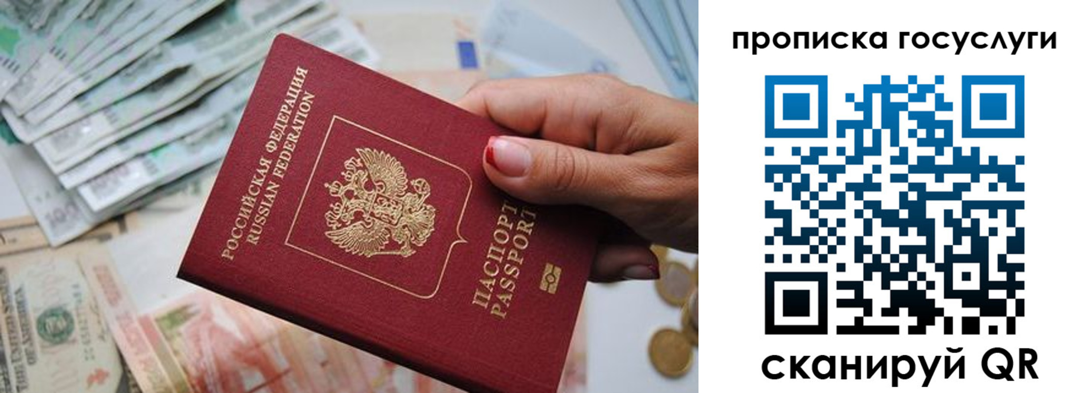 прописка поиск в Йошкар-Оле